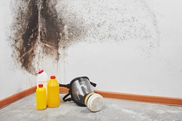 Best Carpet water damage restoration  in Fanwood, NJ